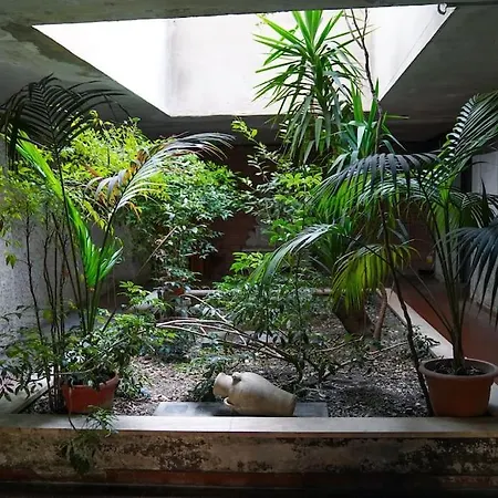 Appartement San Peter View